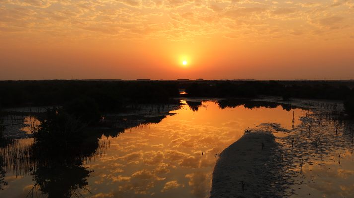 De Doha: Tour de Cultura e História do Norte e Oeste do Catar