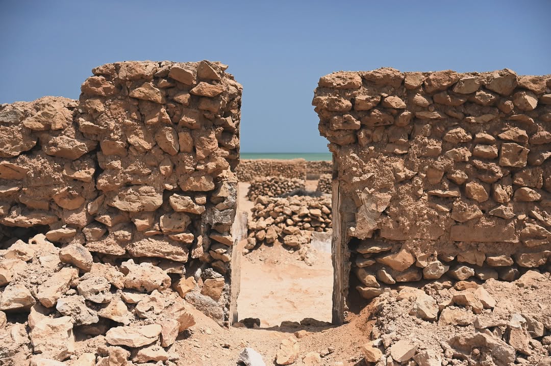 From Doha: Geführte Tour durch Nordkatar mit Transfers