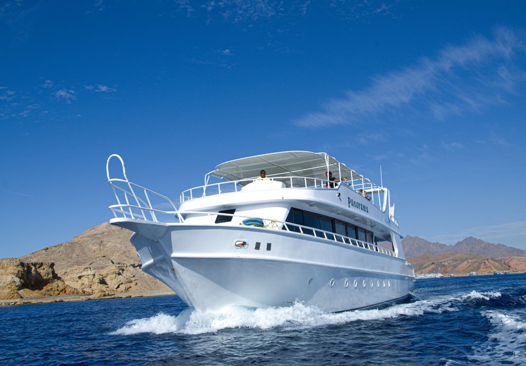 Ain El Sokhna: Panorama-Privatboot-Schnorchelausflug mit Mittagessen und alkoholfreien Getränken