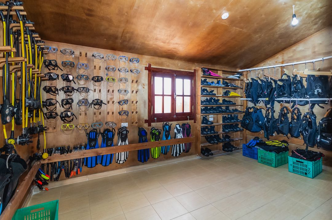 Marsa Alam: Öğle Yemeği ile Marsa Mübarek Şnorkelli Dalış Tekne Turu