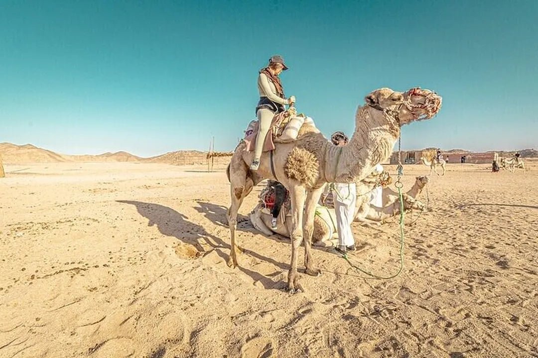 Hurghada: Safari z obserwacją gwiazd i kolacją