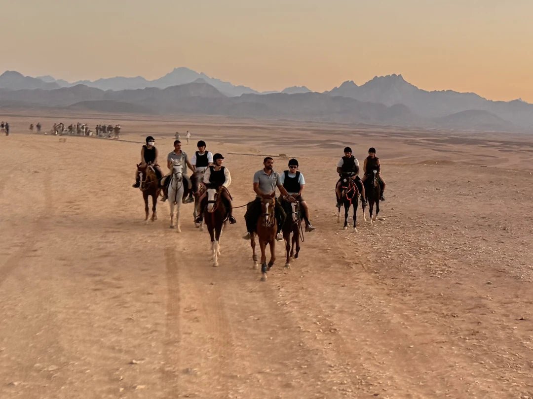 Hurghada: Stargazing Desert Trip by 4x4 Jeep & Dinner