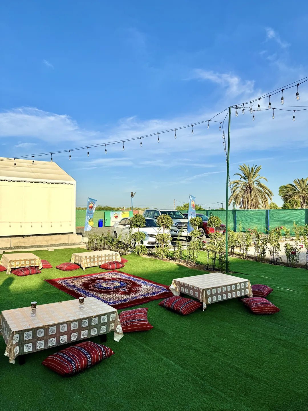 Dubai: Hot Air Balloon Magical Experience with Transfers, Refreshments & Snacks