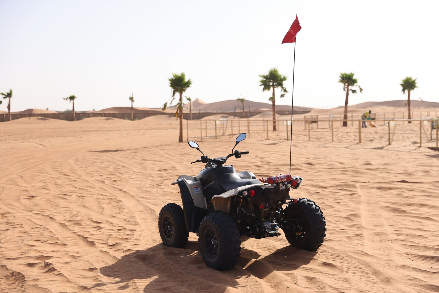 ドバイ:Can-Am レネゲード 650cc クワッド バイク ツアー