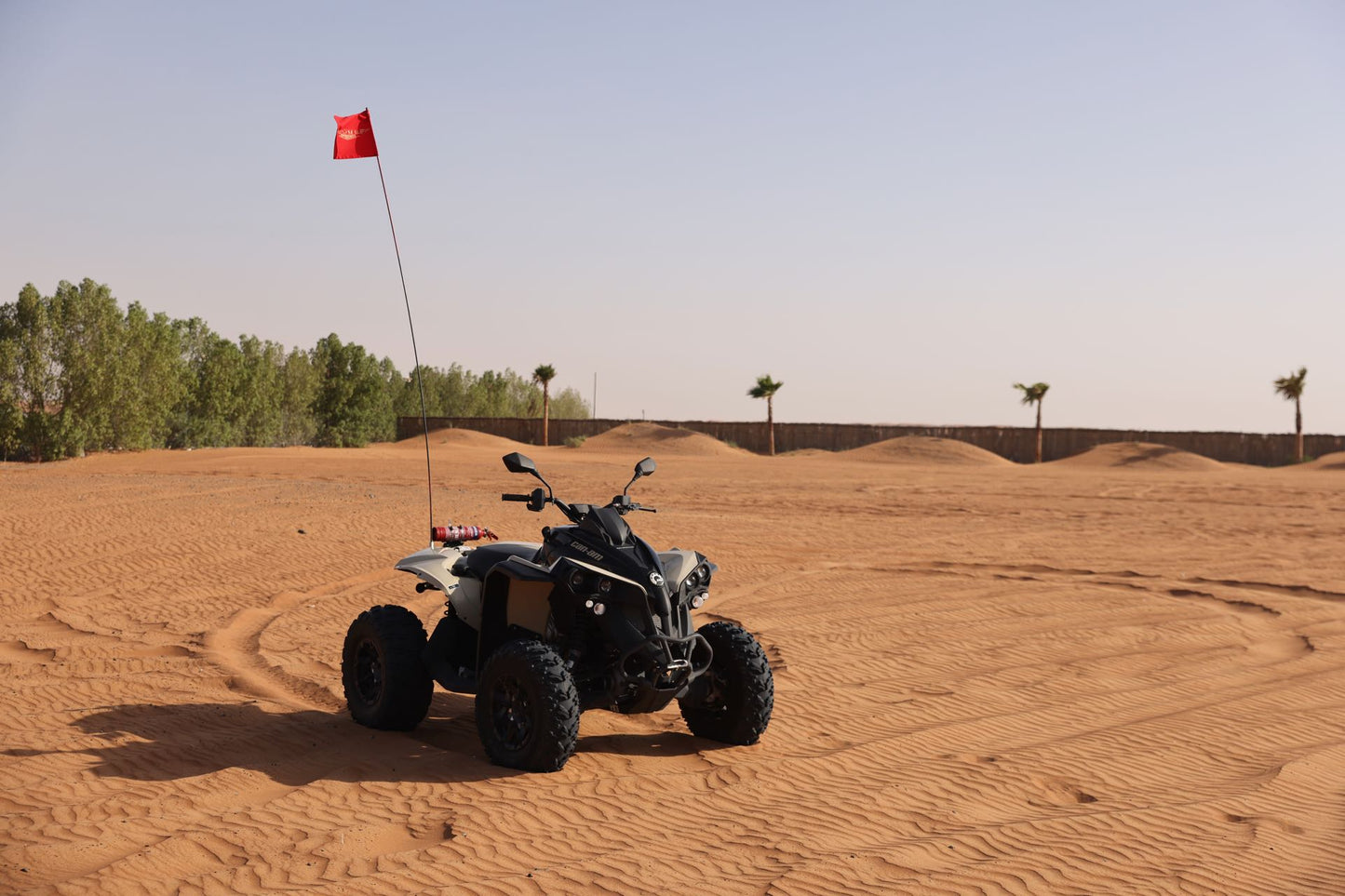 ドバイ:Can-Am レネゲード 650cc クワッド バイク ツアー