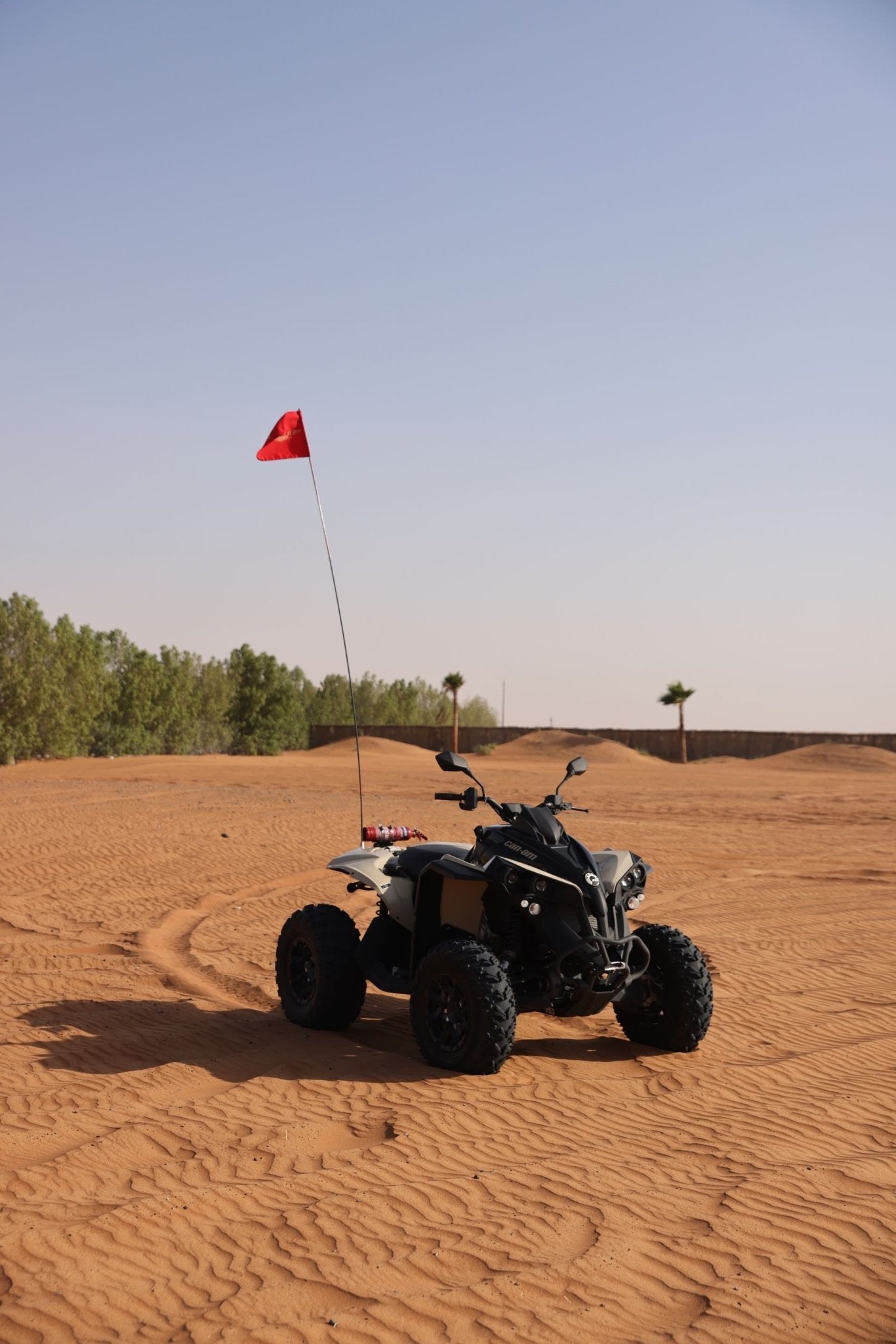 ドバイ:Can-Am レネゲード 650cc クワッド バイク ツアー