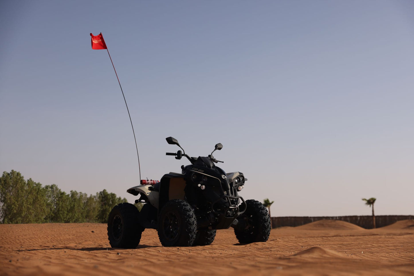 ドバイ:Can-Am レネゲード 650cc クワッド バイク ツアー