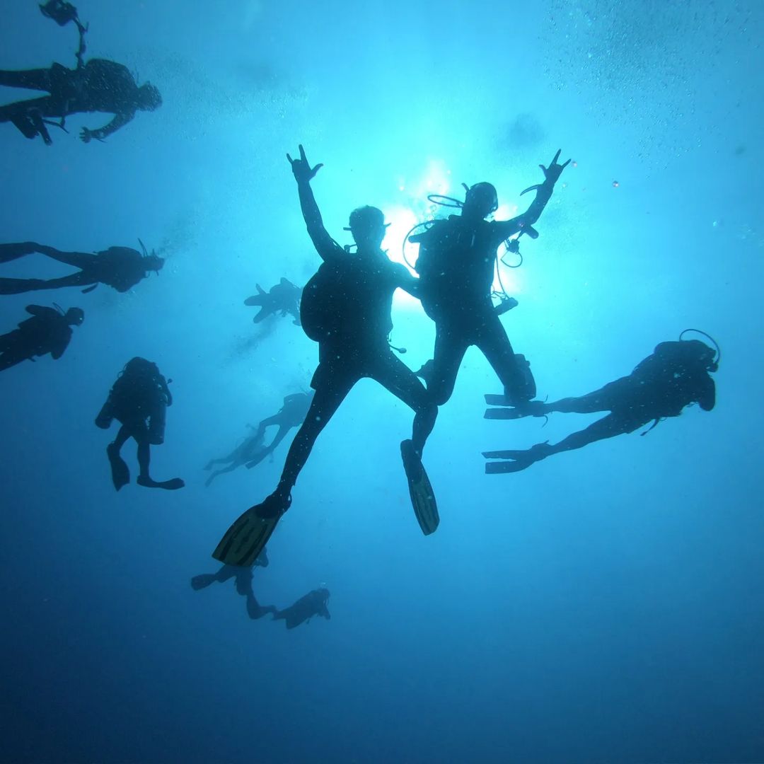 From El Gouna: MV Tala Private Yacht Day Trip or Overnight