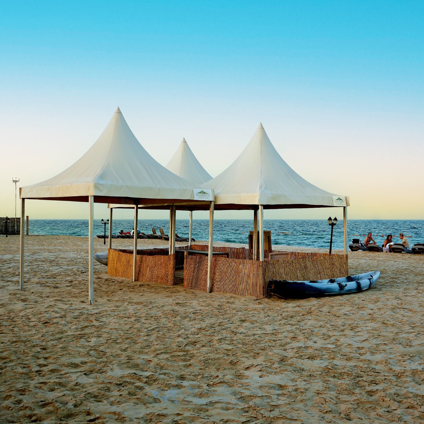 Doha: experiência noturna de acampamento no deserto com jantar de churrasco e observação de estrelas