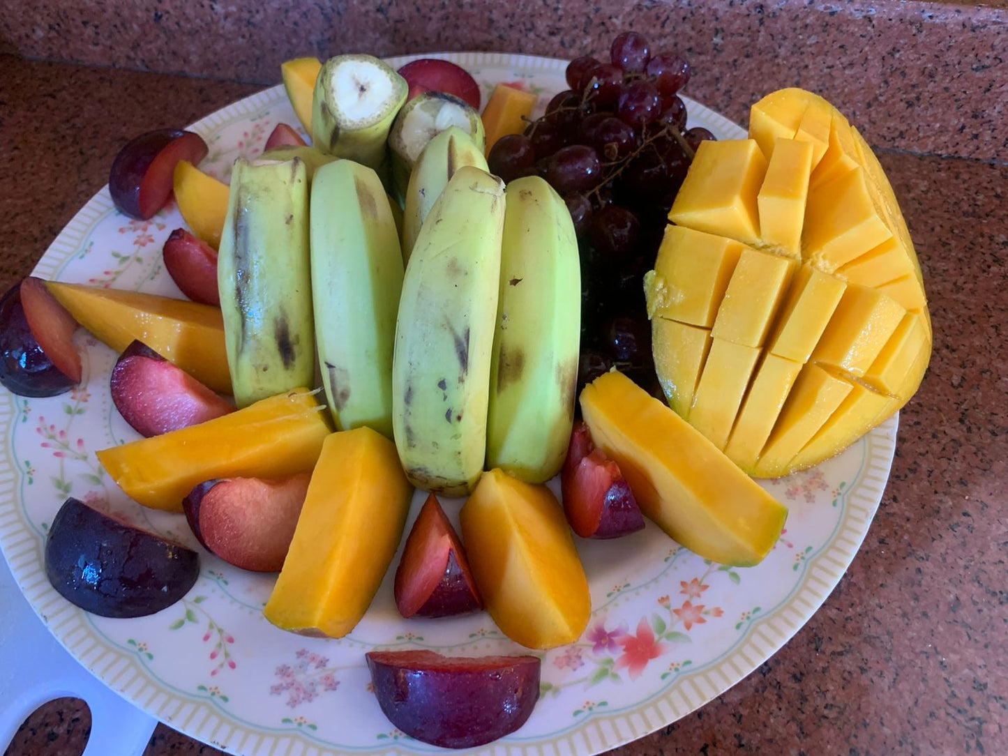 El Gouna: excursión de un día en barco privado a Bayoud