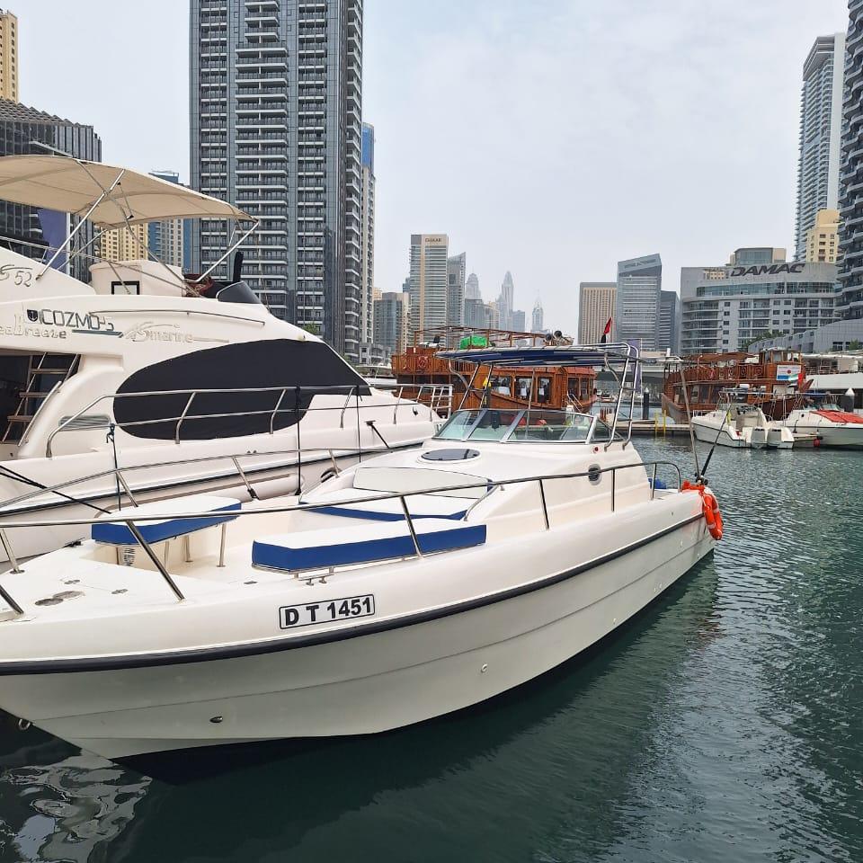 Dubaï : Excursion en bateau rapide de 33 pieds