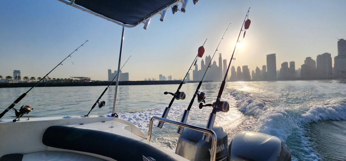 Dubaï : Excursion en bateau rapide de 33 pieds