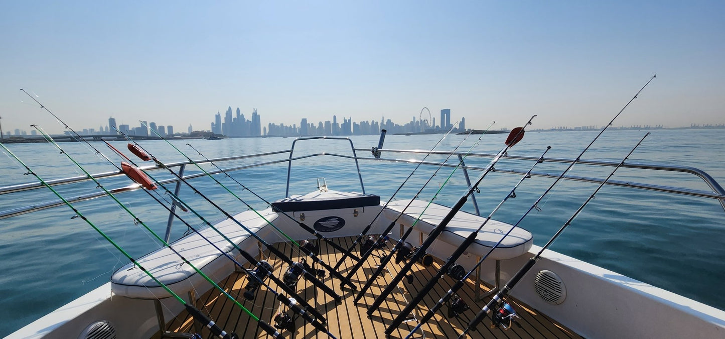 Dubaï : Excursion en bateau rapide de 33 pieds