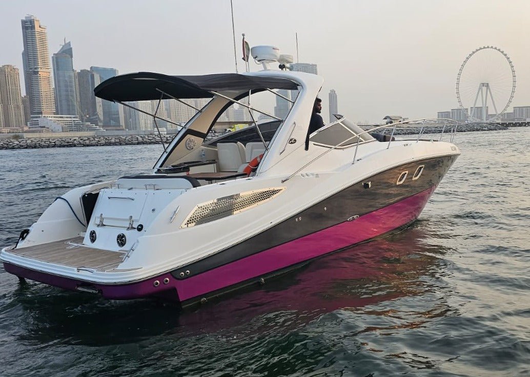 迪拜:40 英尺私人迷你游艇之旅