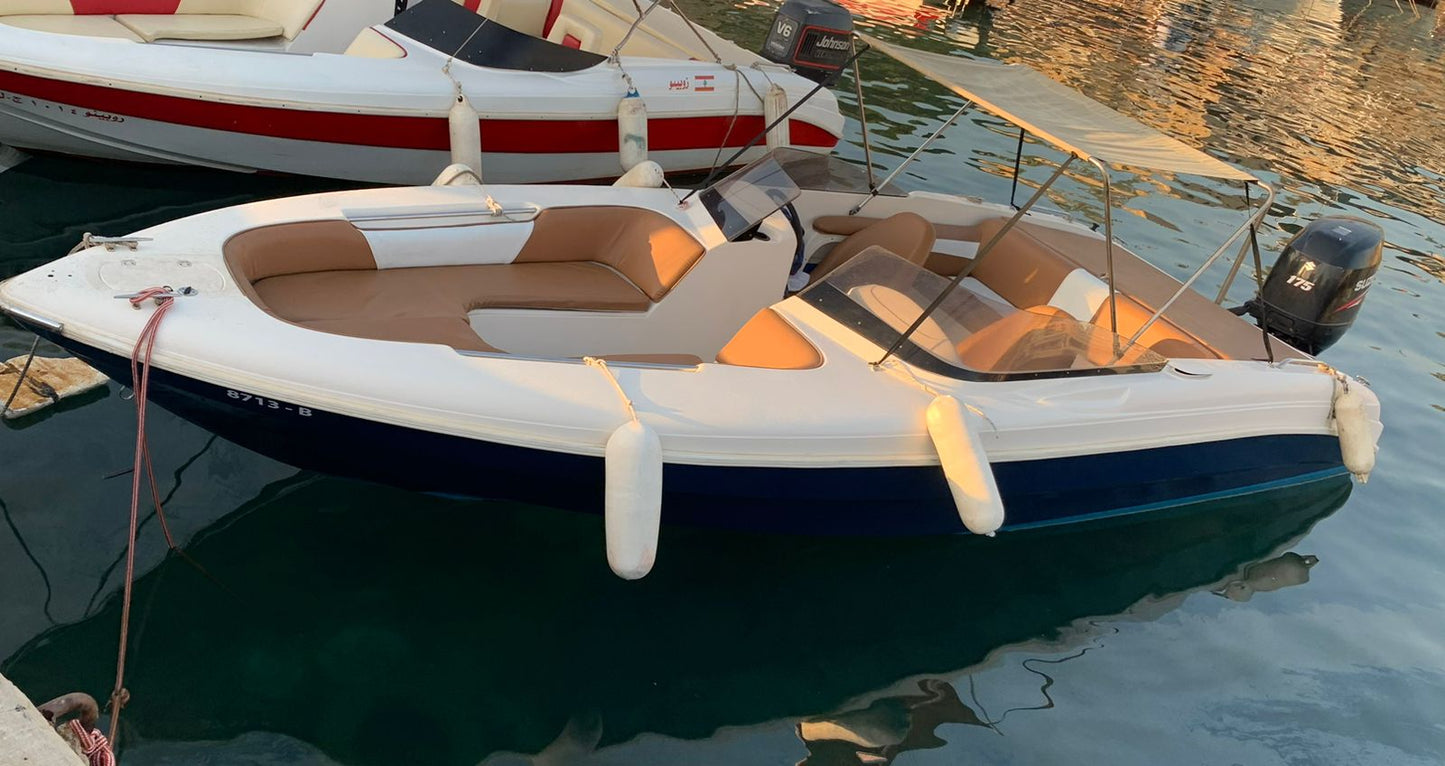 ビブロス:ジュニエへのプライベートスピードボートレンタル