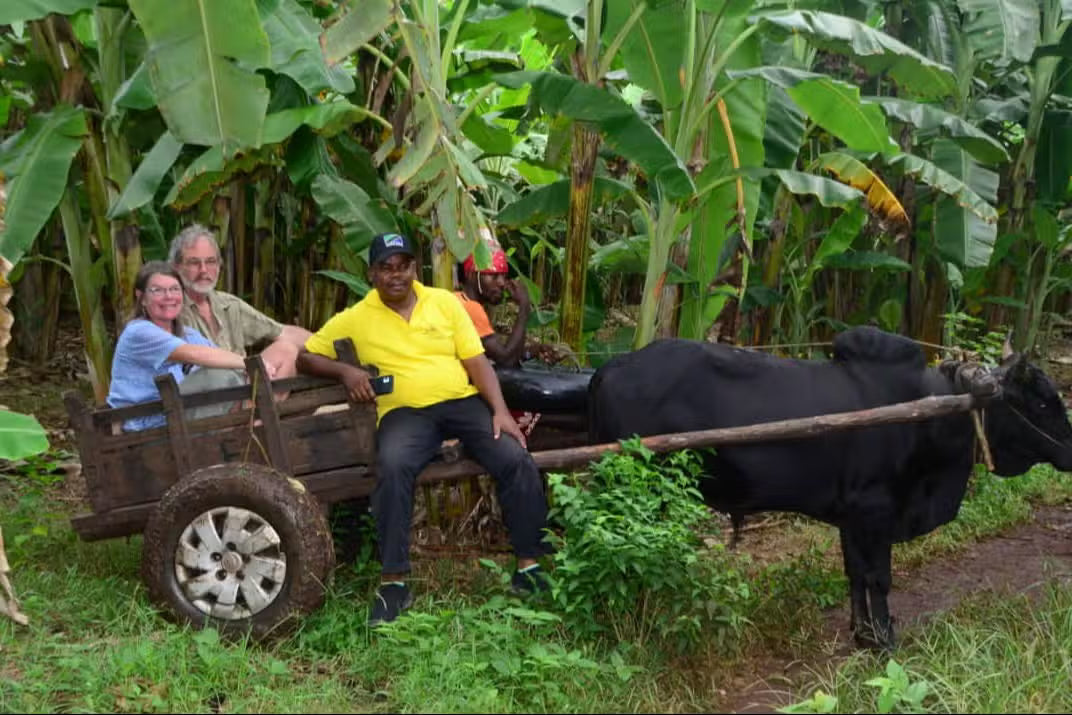 Zanzibar: Tour del Villaggio Culturale e della Natura con Grotte di Pangoni e Canoa