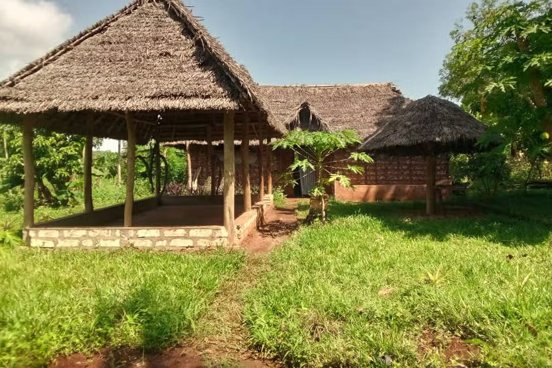 Zanzibar: Tour del Villaggio Culturale e della Natura con Grotte di Pangoni e Canoa