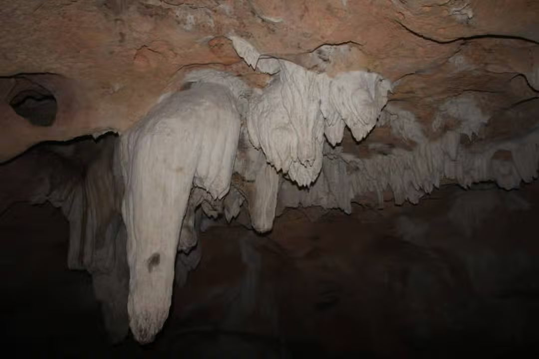 Zanzibar: Tour del Villaggio Culturale e della Natura con Grotte di Pangoni e Canoa