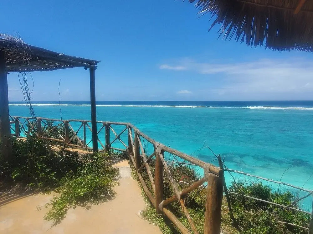 Zanzibar: tour guidato alla Foresta di Jozani, alla Grotta Salaam e alla Spiaggia di Mtende