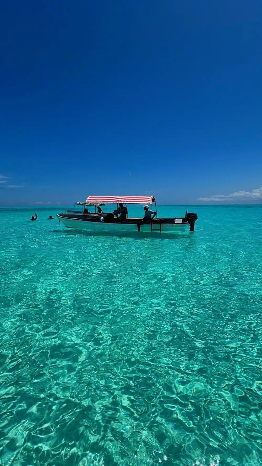 Ζανζιβάρη: Ιδιωτική εκδρομή για snorkeling στο νησί Mnemba και στην παραλία Kendwa