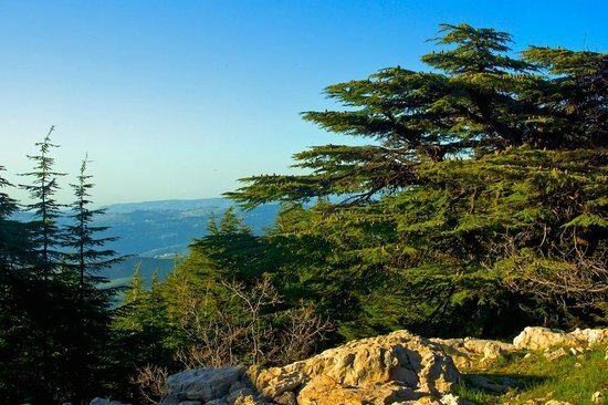 Beirut: Chouf Mountains and Moussa Castle Private Tour