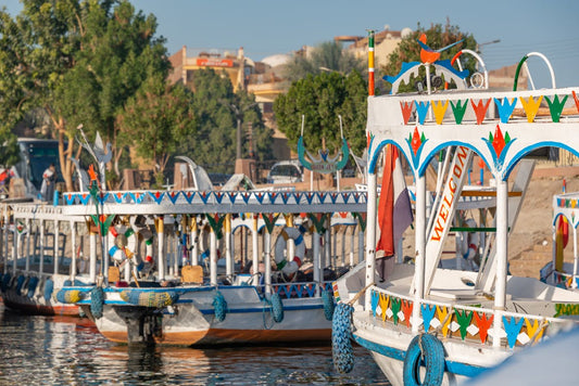 Aswan: Private Nubian Village and Botanical Garden trip