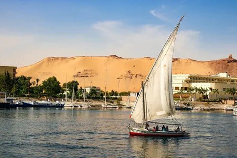Aswan: Private Tour to Abu Simbel Temples