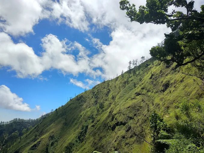 Bali: Mount Agung Sunrise Guided Trekking Tour