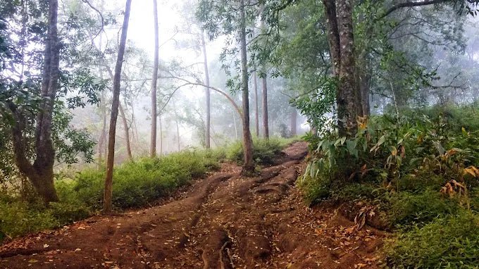 Bali: Mount Agung Sunrise Guided Trekking Tour