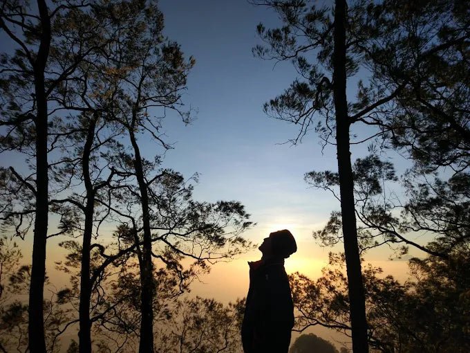 Bali: Mount Agung Sunrise Guided Trekking Tour