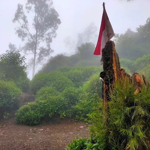 Bali: Mount Agung Sunrise Guided Trekking Tour