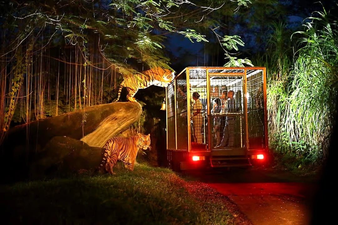 Bali: Private Guided Return Transfer for Night Safari