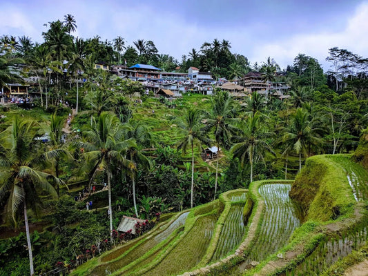 Bali: Private Half - Day City Tour to Temples, Culture and Coastal Views