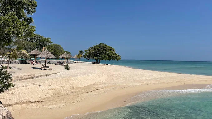 桑给巴尔:石头城海岸巡游和浮潜之旅