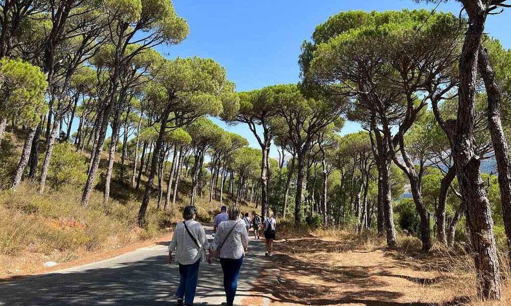 From Beirut: Sidon, Mleeta and Jezzine Waterfall Guided Tour