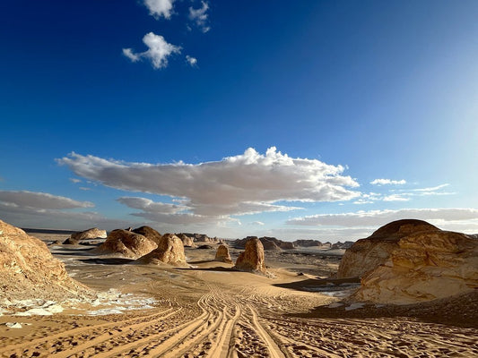 Cairo: Explore the Black & White Deserts with Overnight Camping