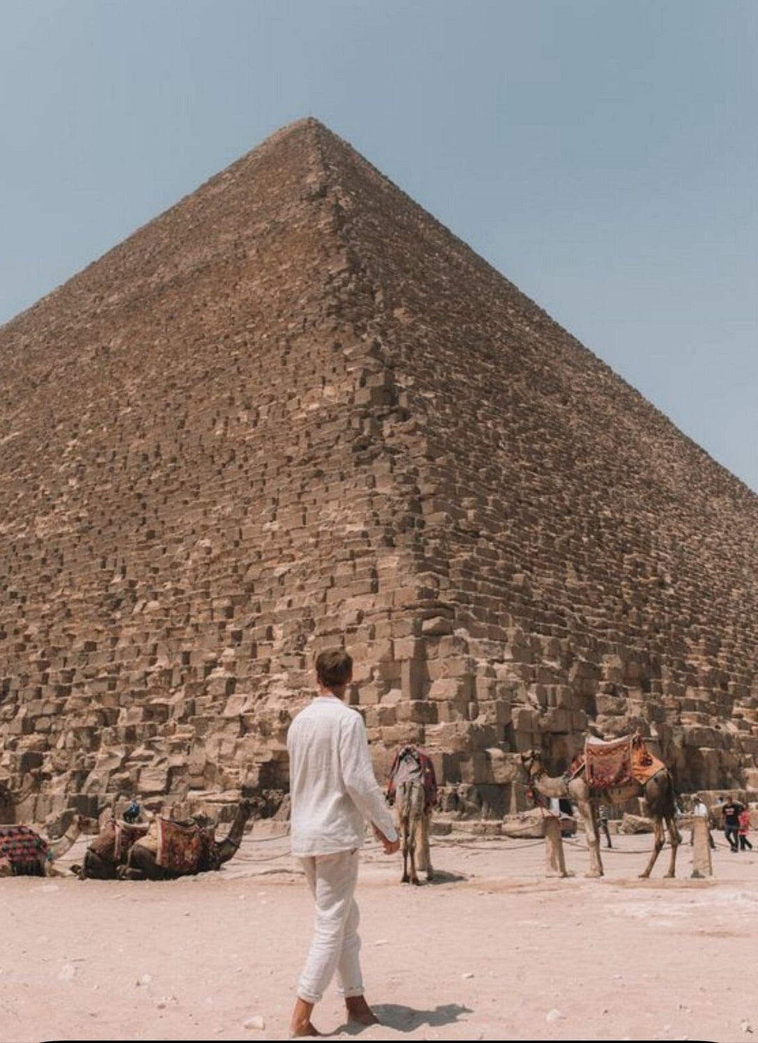 Cairo: Guided Tour of the Pyramids of Giza, Sphinx, Saqqara with Photographer