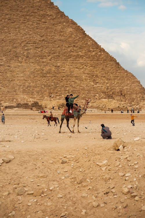 Cairo: Private Day Tour to the Pyramids of Giza and the Grand Egyptian Museum