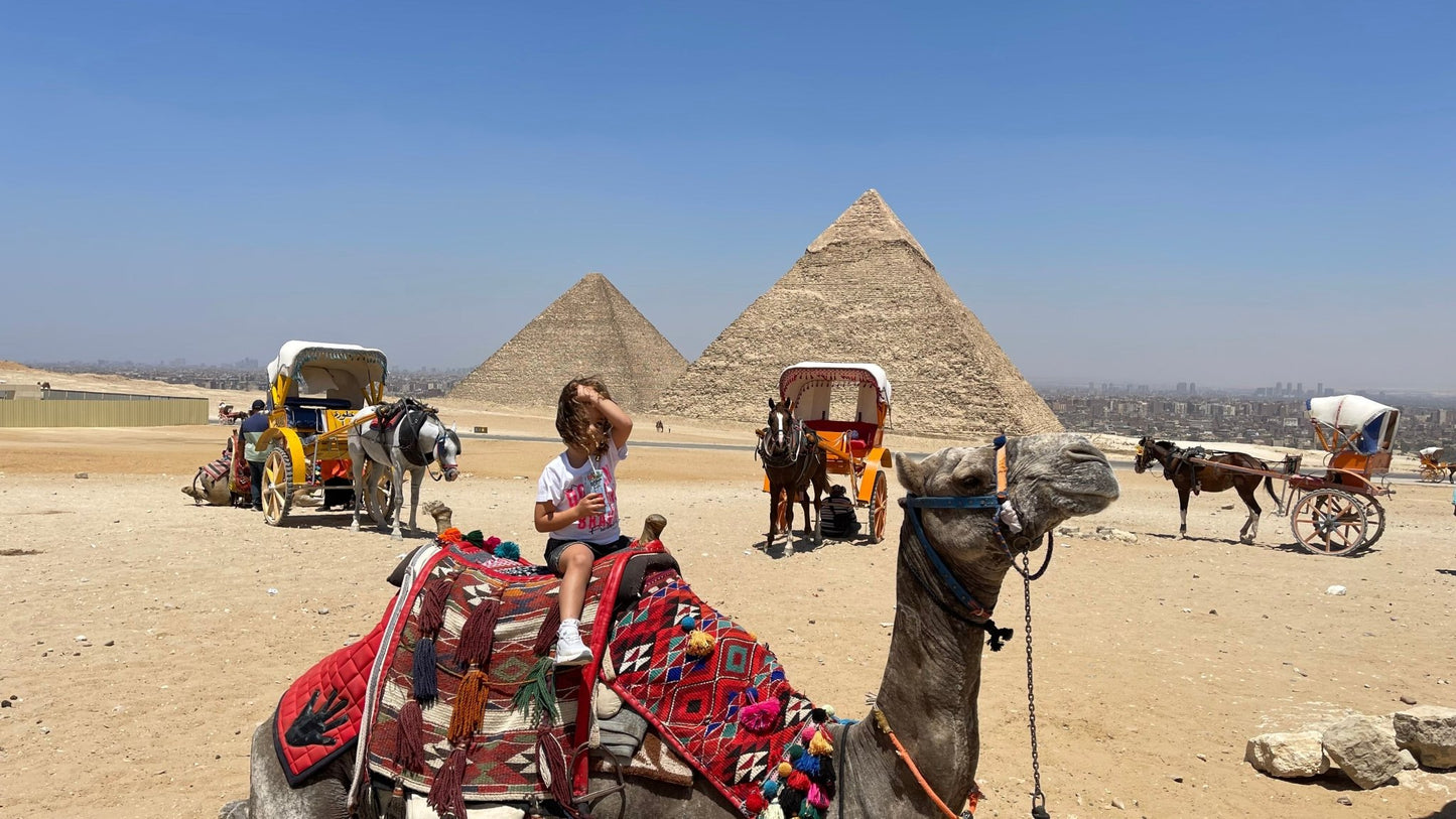 Cairo: Private Guided Giza Pyramids, Memphis City and Saqqara Day Tour