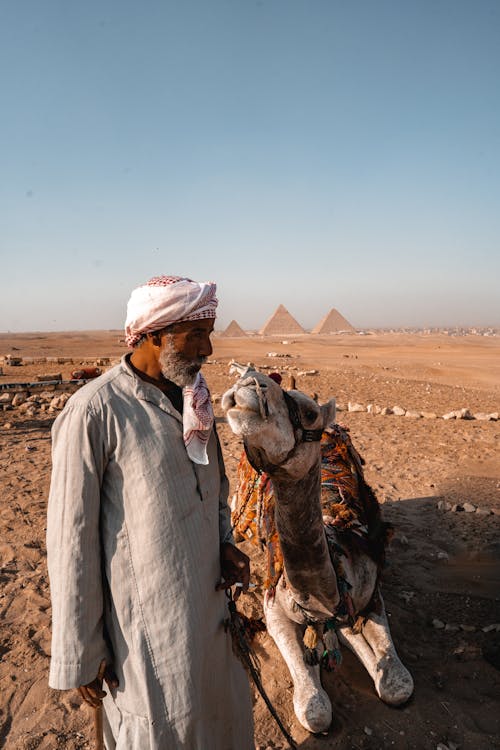 Cairo: Private Guided Pyramids of Giza and The Grand Egyptian Museum Full - Day Tour