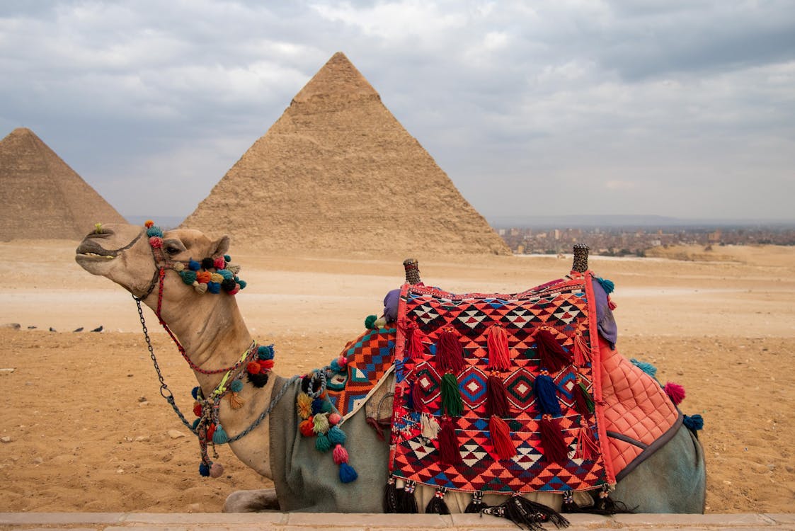 Cairo: Private Guided Pyramids of Giza and The Grand Egyptian Museum Full - Day Tour