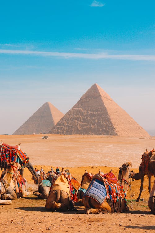 Cairo: Private Guided Pyramids of Giza and The Grand Egyptian Museum Full - Day Tour