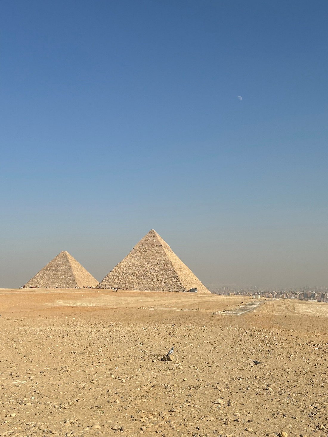 Cairo: Private Guided Trip to the Giza Pyramids and Sphinx