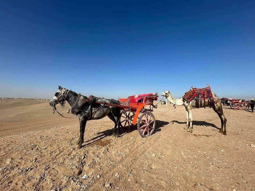 Cairo: Private Guided Trip to the Giza Pyramids and Sphinx