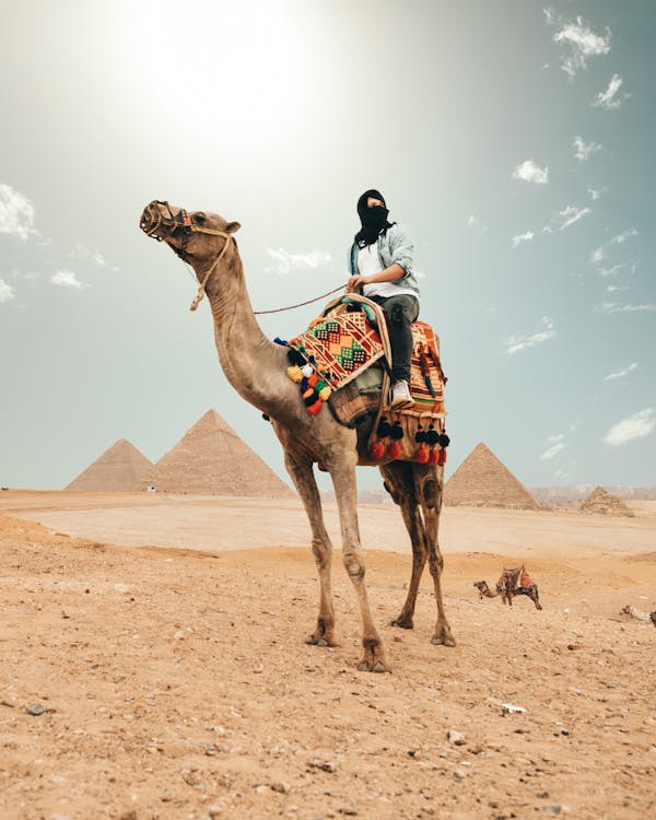Cairo: Private Tour of Giza Pyramids, Saqqara and Memphis with Egyptologist Guide