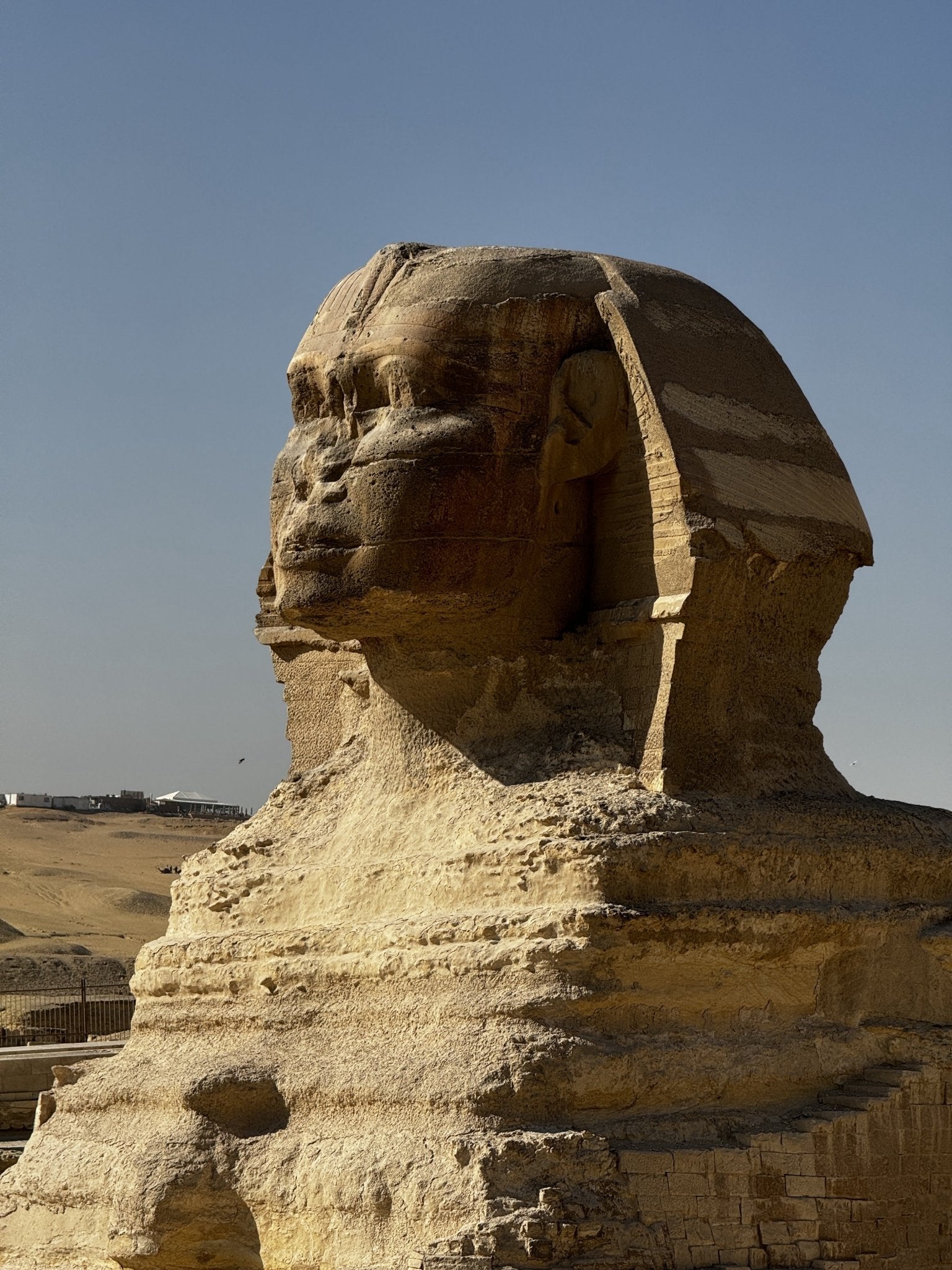 Cairo: Private Tour to the Pyramids of Giza, Sphinx and Camel Ride with Lunch