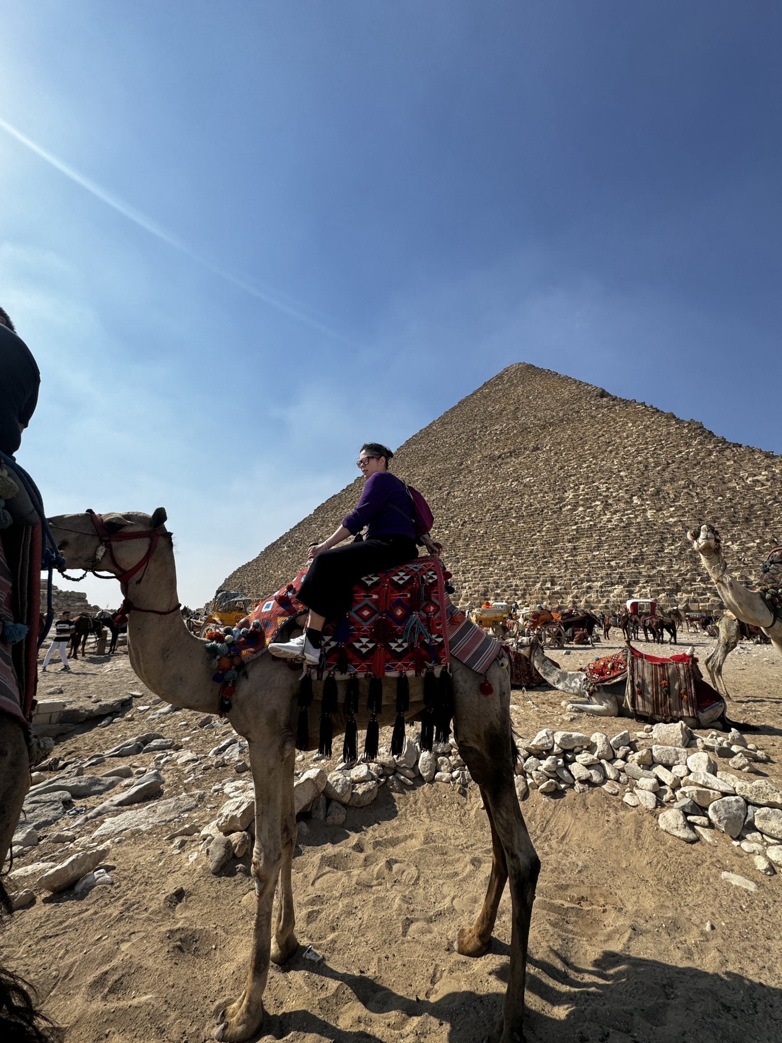 Cairo: Private Tour to the Pyramids of Giza, Sphinx and Camel Ride with Lunch
