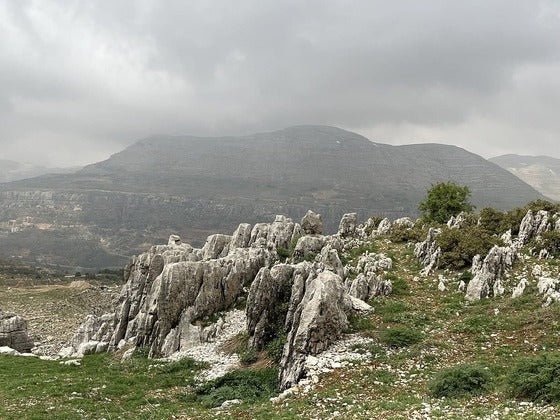 From ベイルート: アフカ滝、バアタラ滝、カファルヘルダ滝ツアー