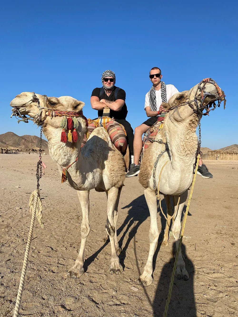 Hurghada: Stargazing Desert Trip by 4x4 Jeep & Dinner