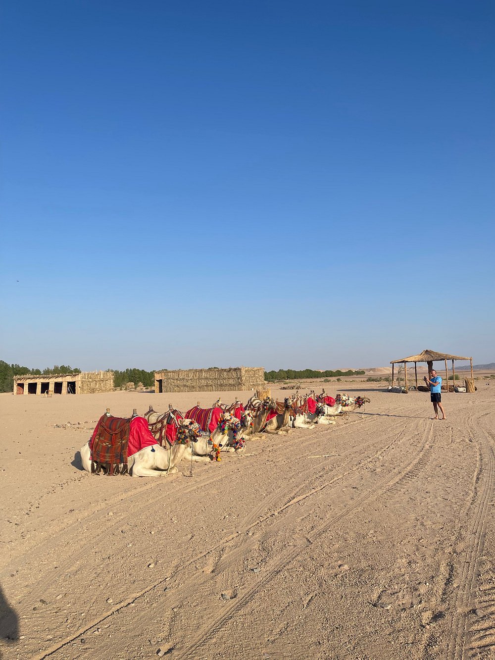 Hurghada: Safari z obserwacją gwiazd i kolacją